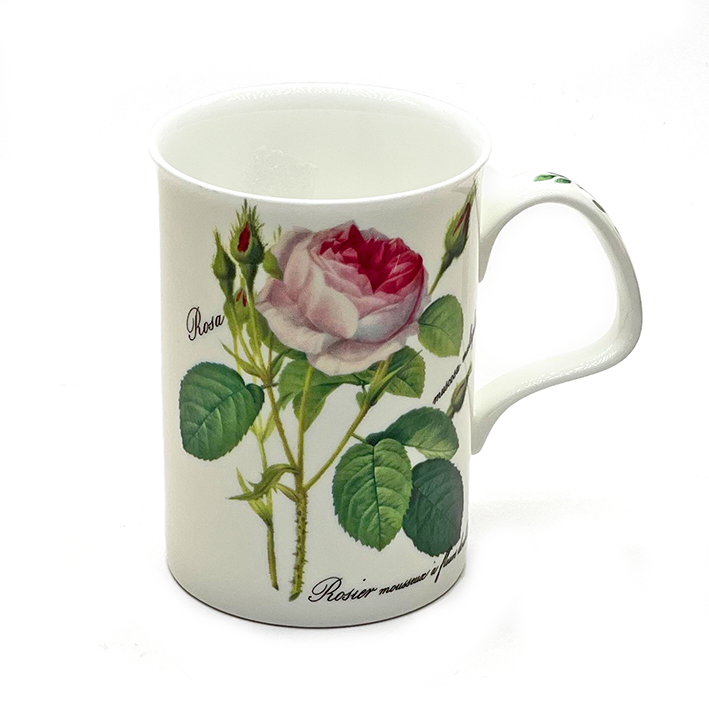 BOLLWEG Lanc Redoute Rosa White Mug